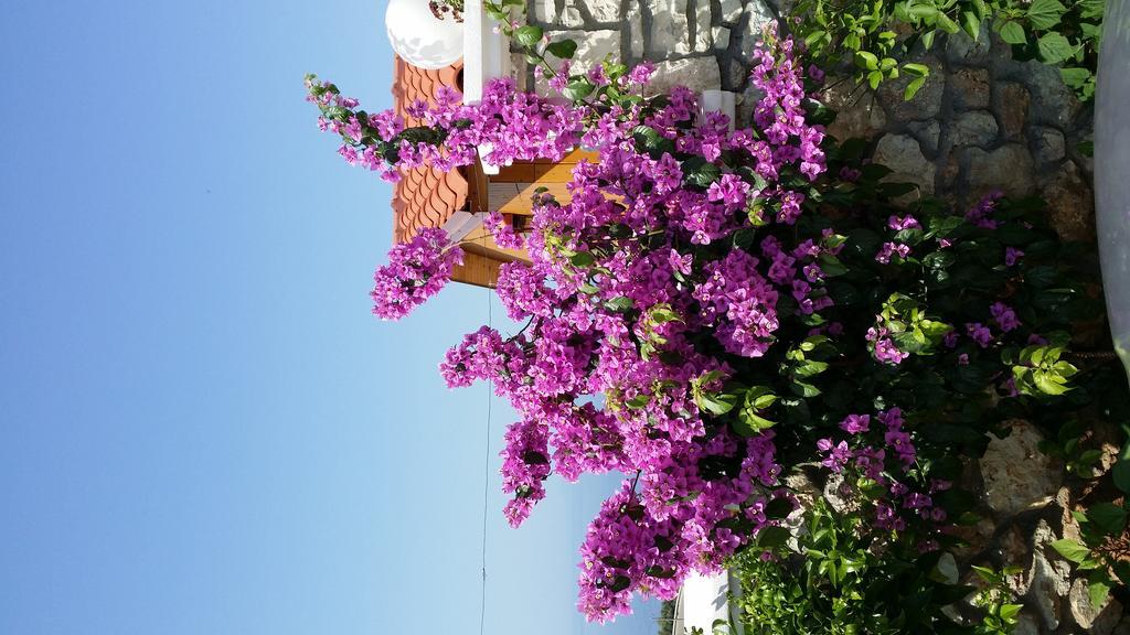 Season Inn Dhërmi Dış mekan fotoğraf